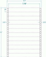 7-3/4" x 1"-TRANSCRIPTION